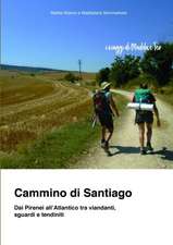 Cammino di Santiago - Dai Pirenei all'Atlantico tra viandanti, sguardi e tendiniti