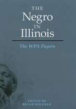 The Negro in Illinois