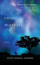 Small Marvels – Stories