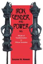 Iron, Gender, and Power – Rituals of Transformation in African Societies