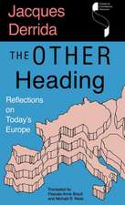 The Other Heading – Reflections on Today`s Europe