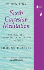 Sixth Cartesian Meditation – The Idea of a Transcendental Theory of Method