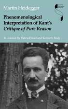 Phenomenological Interpretation of Kant`s Critique of Pure Reason