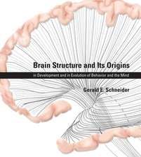 Brain Structure and Its Origins – Function, Evolution, Development