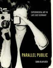 Parallel Public: Experimental Art in Late East Germany