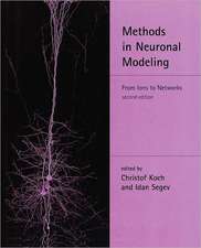 Methods in Neuronal Modeling – From Ions to Networks, 2e