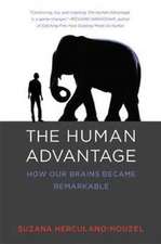 The Human Advantage – How Our Brains Became Remarkable