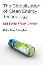 The Globalization of Clean Energy Technology – Lessons from China