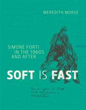 Soft Is Fast