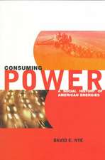 Consuming Power – A Social History of Amercian Energies (Paper)