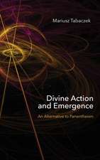 Divine Action and Emergence – An Alternative to Panentheism