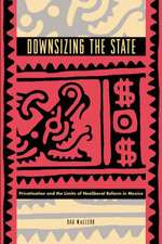 Downsizing the State – Privatization and the Limits of Neoliberal Reform in Mexico