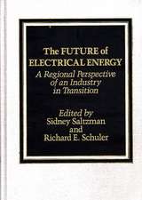 The Future of Electrical Energy: A Regional Perspective of an Industry in Transition