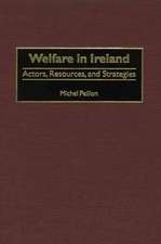 Welfare in Ireland: Actors, Resources, and Strategies