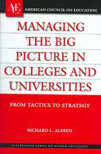 Managing the Big Picture in Colleges and Universities