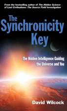 The Synchronicity Key: The Hidden Intelligence Guiding the Universe and You