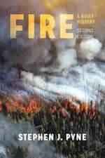Pyne, S: Fire