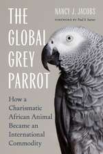 The Global Grey Parrot