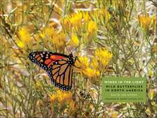 Wings in the Light: Wild Butterflies in North America