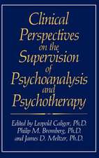 Clinical Perspectives on the Supervision of Psychoanalysis and Psychotherapy