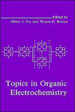 Topics in Organic Electrochemistry