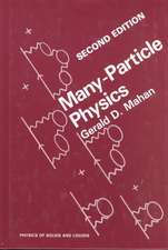 Many-Particle Physics