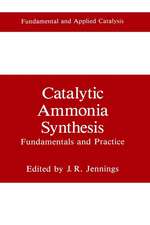 Catalytic Ammonia Synthesis: Fundamentals and Practice