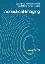 Acoustical Imaging