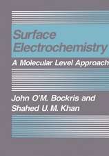 Surface Electrochemistry: A Molecular Level Approach