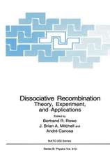 Dissociative Recombination: Theory, Experimemt and Applications