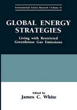 Global Energy Strategies