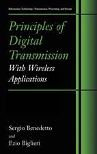 Principles of Digital Transmission: With Wireless Applications