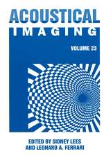 Acoustical Imaging 23