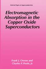 Electromagnetic Absorption in the Copper Oxide Superconductors