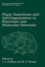 Phase Transitions and Self-Organization in Electronic and Molecular Networks