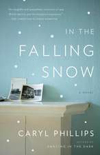 In the Falling Snow