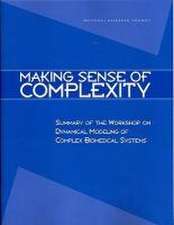 Making Sense of Complexity