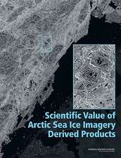 Scientific Value of Arctic Sea Ice Imagery Derived Products