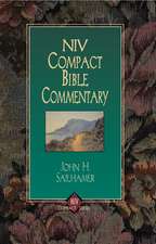 NIV Compact Bible Commentary