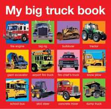 My Big Truck Book