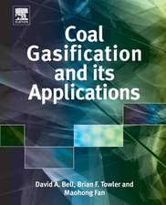 Coal Gasification and Its Applications