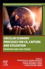 Circular Economy Processes for CO2 Capture and Utilization: Strategies and Case Studies