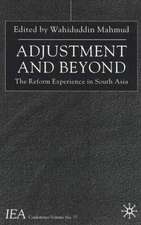 Adjustment and Beyond