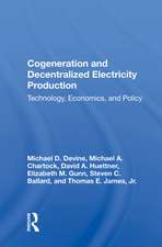 Cogeneration And Decentralized Electricity Production: Technology, Economics, And Policy