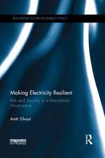 Making Electricity Resilient: Risk and Security in a Liberalized Infrastructure