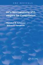 Ay's Neuroanatomy of C. Elegans for Computation