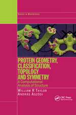 Protein Geometry, Classification, Topology and Symmetry: A Computational Analysis of Structure