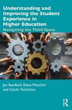 Understanding and Improving the Student Experience in Higher Education: Navigating the Third Space