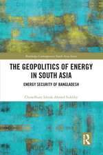 The Geopolitics of Energy in South Asia