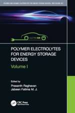 Polymer Electrolytes for Energy Storage Devices